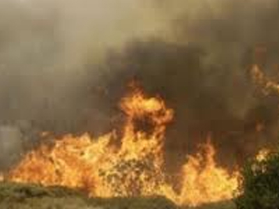 Υπό μερικό έλεγχο η φωτιά στο Μόδι Φθιώτιδας